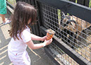 2011_april_woodside_13
