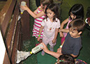 2011_april_woodside_16