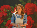 2015_jul_holland_park_opera02