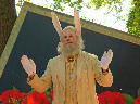 2015_jul_holland_park_opera03