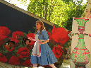2015_jul_holland_park_opera06