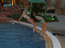 2015_sep_synchro_tara01